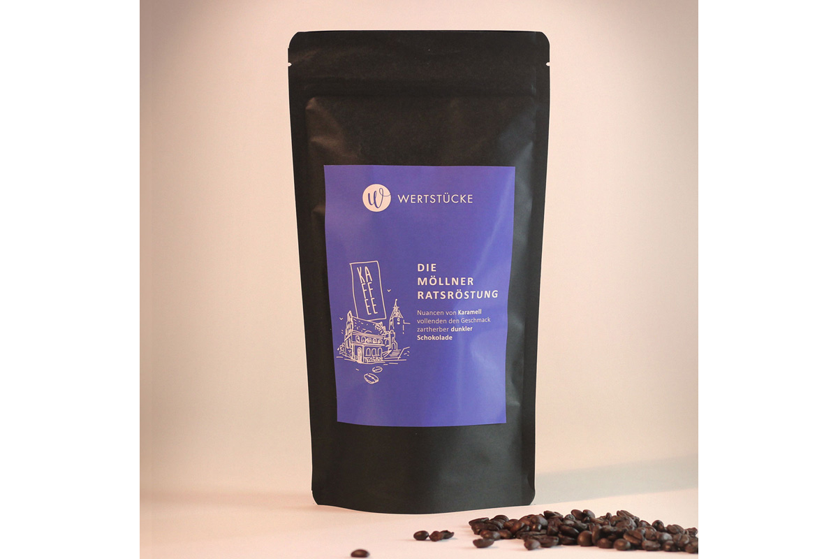 DIE MÖLLNER RATSRÖSTUNG